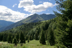 Escursione Rifugio Marinelli