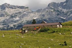 Trekking Montasio