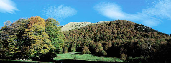 Basilicata Dolomiti Lucane