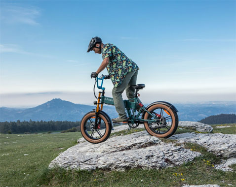 Bici elettrica lunga autonomia