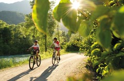 Mountain bike fra i boschi della Carinzia