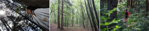 Grand Hotel Panorama