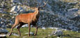 Trekking Parco Abruzzo