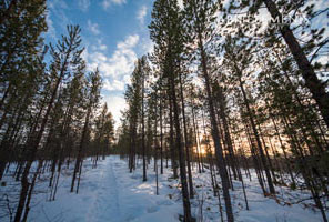 Tour fotografico aurore boreali Lapponia