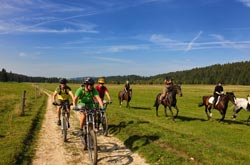 Mountain bike e cavallo in Svizzera