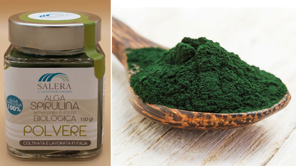 Spirulina in polvere