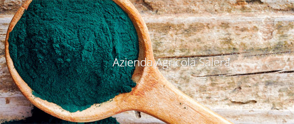 Spirulina Salera Bio