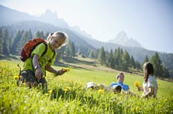 Escursione in Val d'Ega