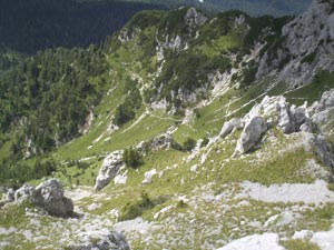 Traversata dal Rif. Pellarini a Camporosso - Salita a Cima dei Cacciatori