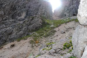 Traversata da Val Saisera a Val Rio del Lago Predil - Salita per la Forc. Lavinal dell'orso