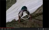 Video montagna Salita del Grand Capucin (Monte Bianco)
