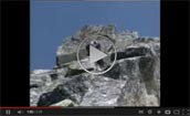 Video montagna Dal Rosa al Cervino - Parte 4