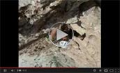 Video montagna Salita della Via Cassin alla Piccolissima di 
Lavaredo