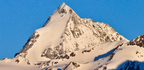 Konigspitze-Gran Zebr