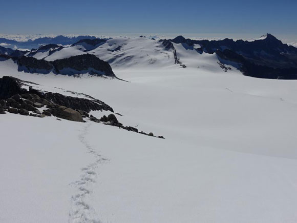 La cima Adamello con gli sci d'alpinismo