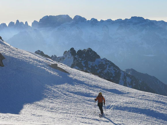 La cima Presanella per il bivacco Roberti