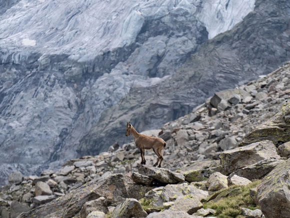 Amici di trekking