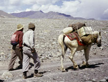 Trekking Ladakh